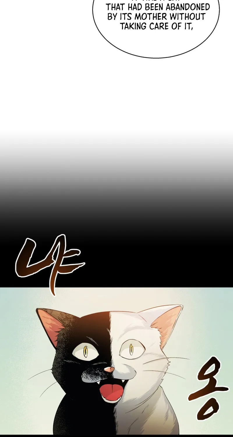 Read The Palace Beast chapter 3 image 85 on Lezhin