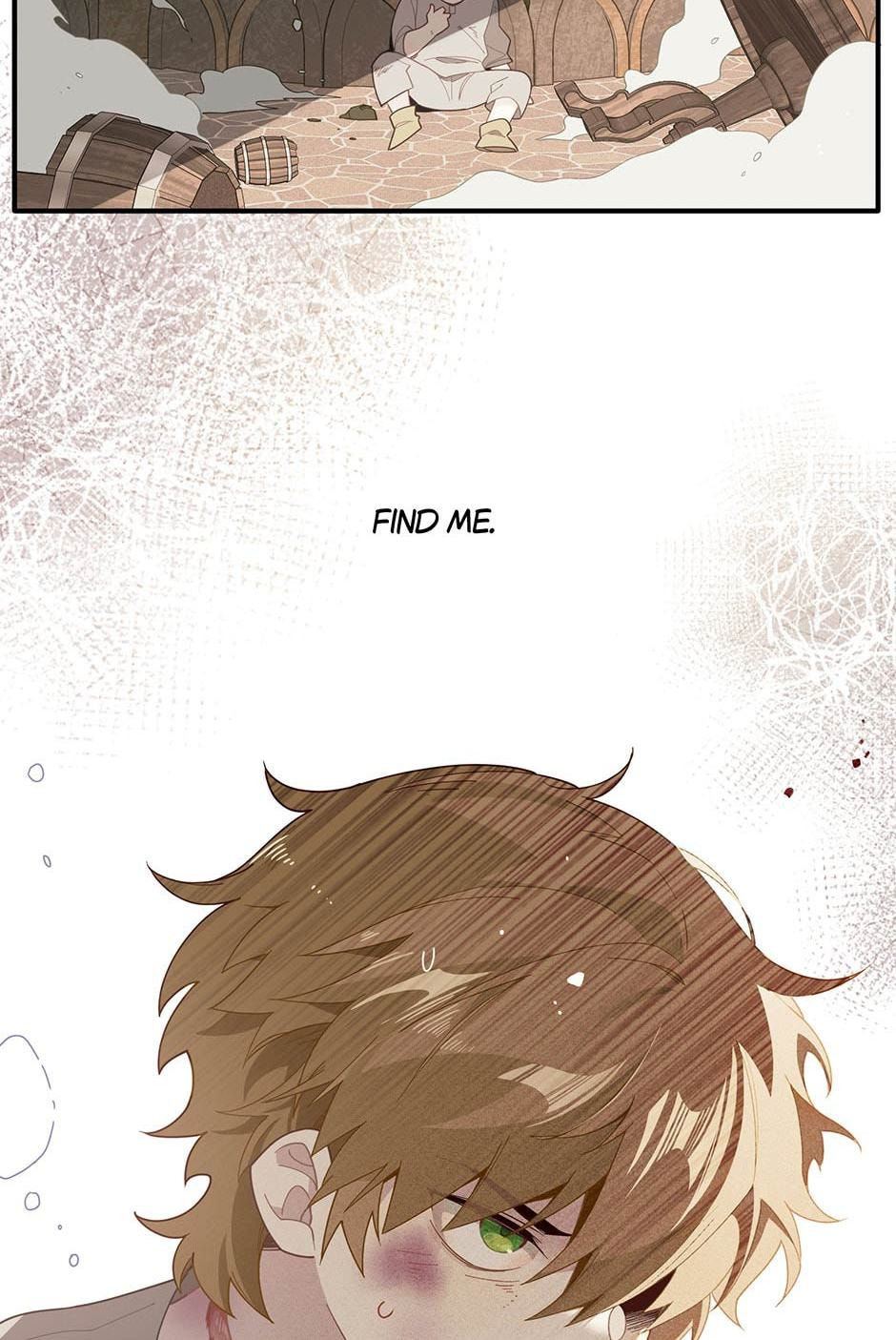 The Paladin's Witchbound Heart Chapter 1 page 44 - 