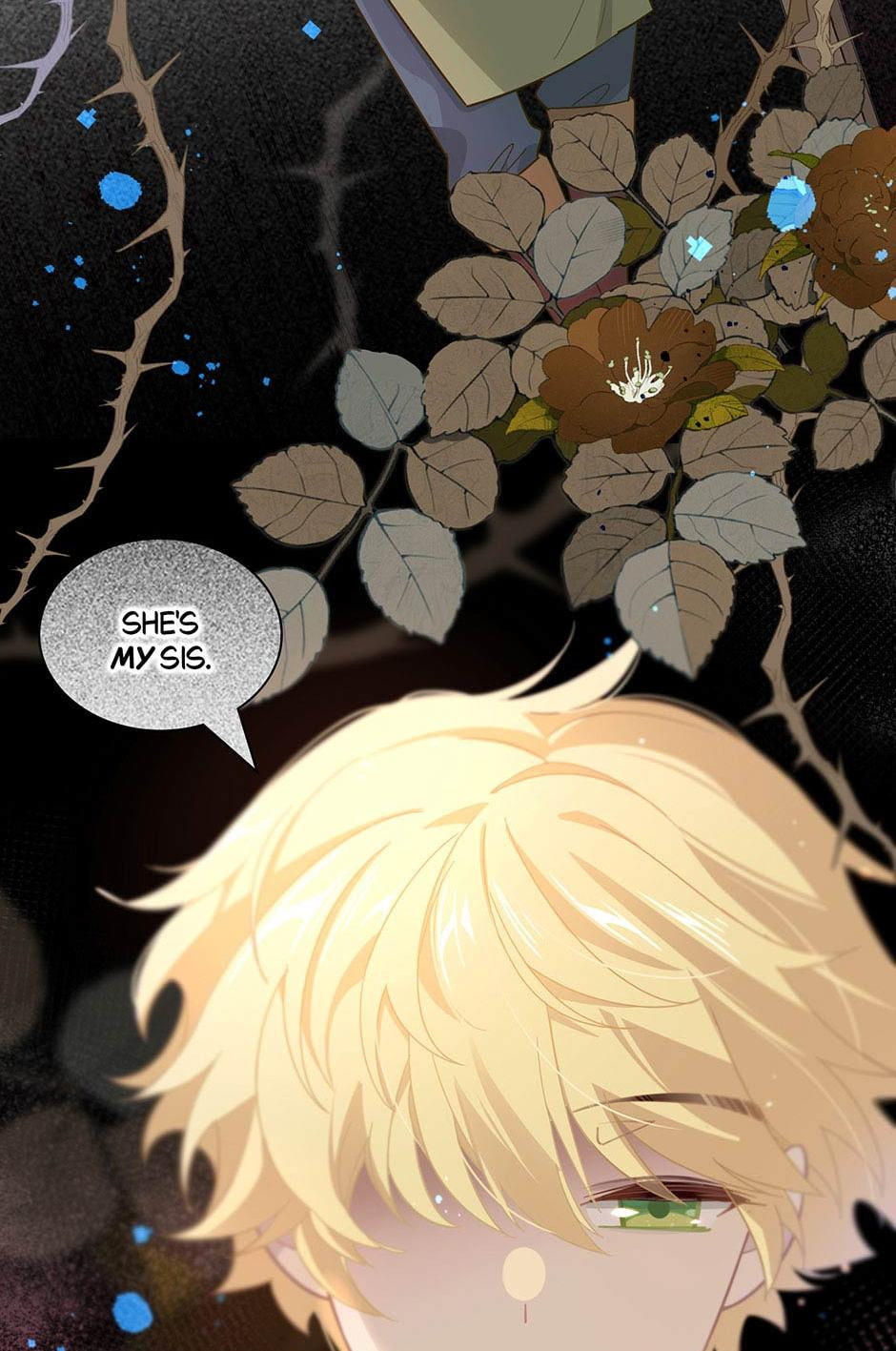 The Paladin's Witchbound Heart Chapter 11 page 43 - 