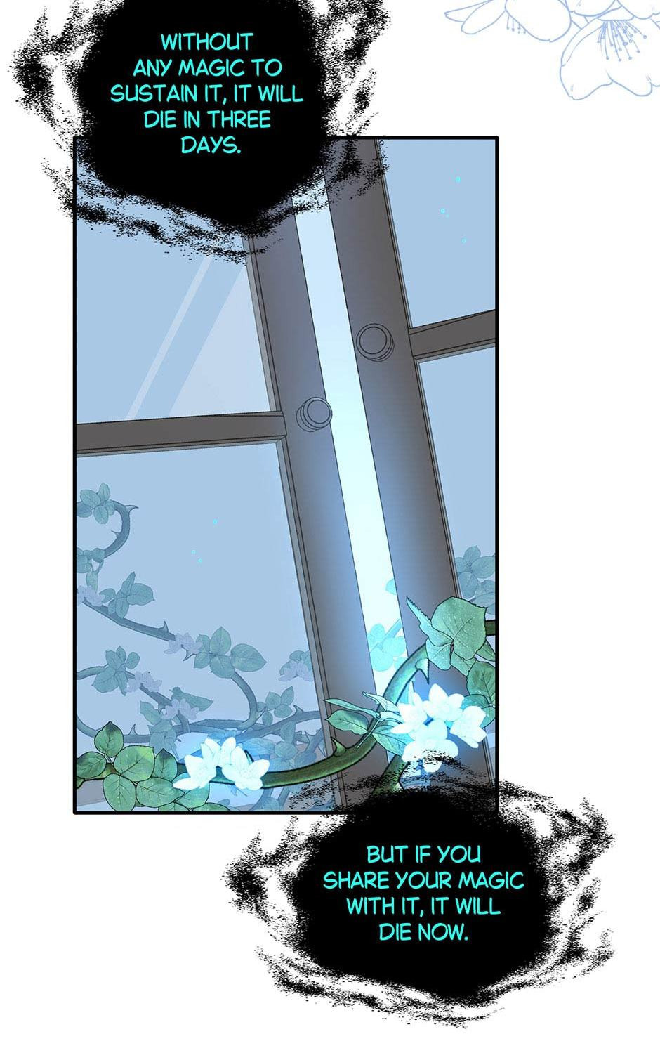 The Paladin's Witchbound Heart Chapter 12 page 34 - 