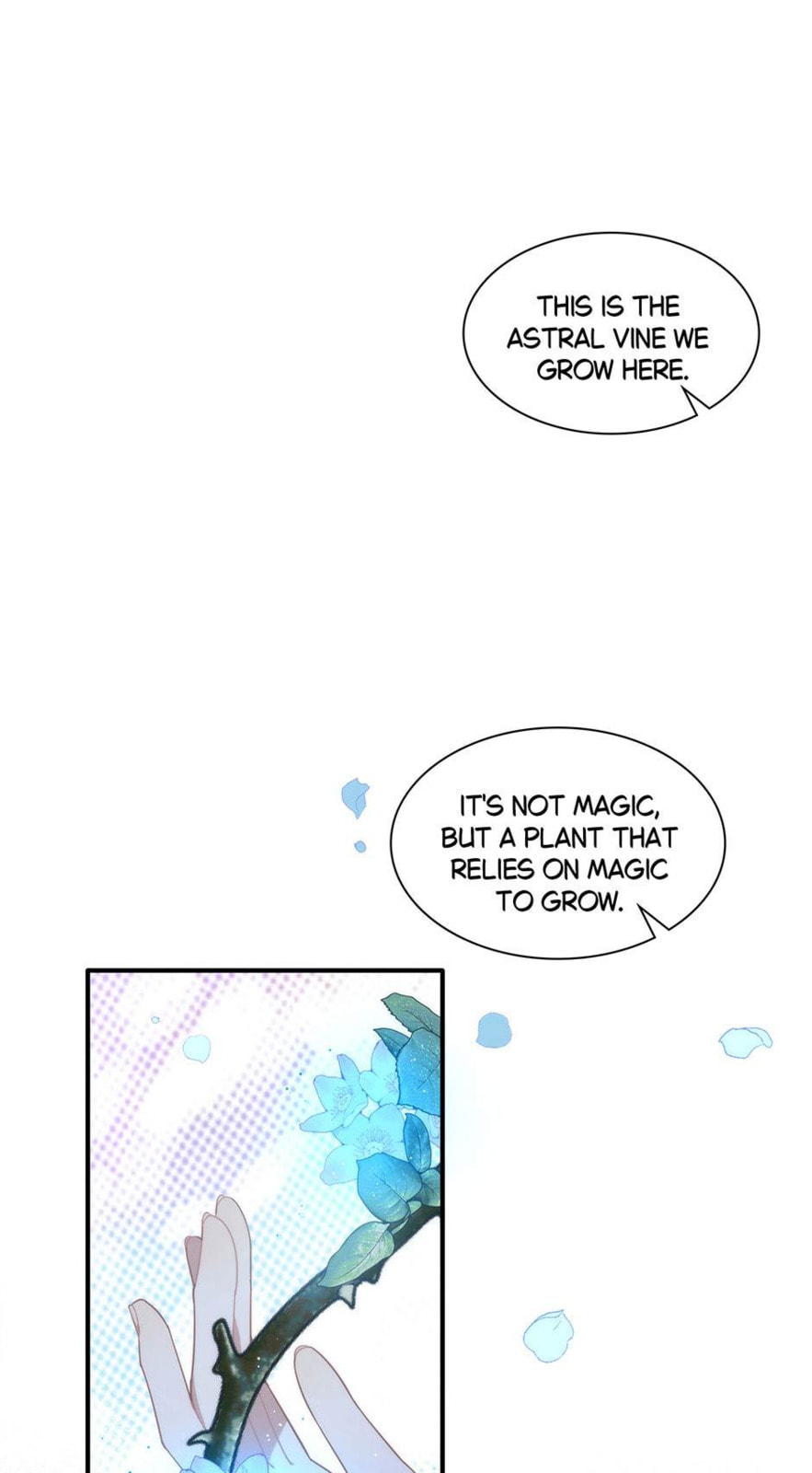 The Paladin's Witchbound Heart Chapter 13 page 3 - 