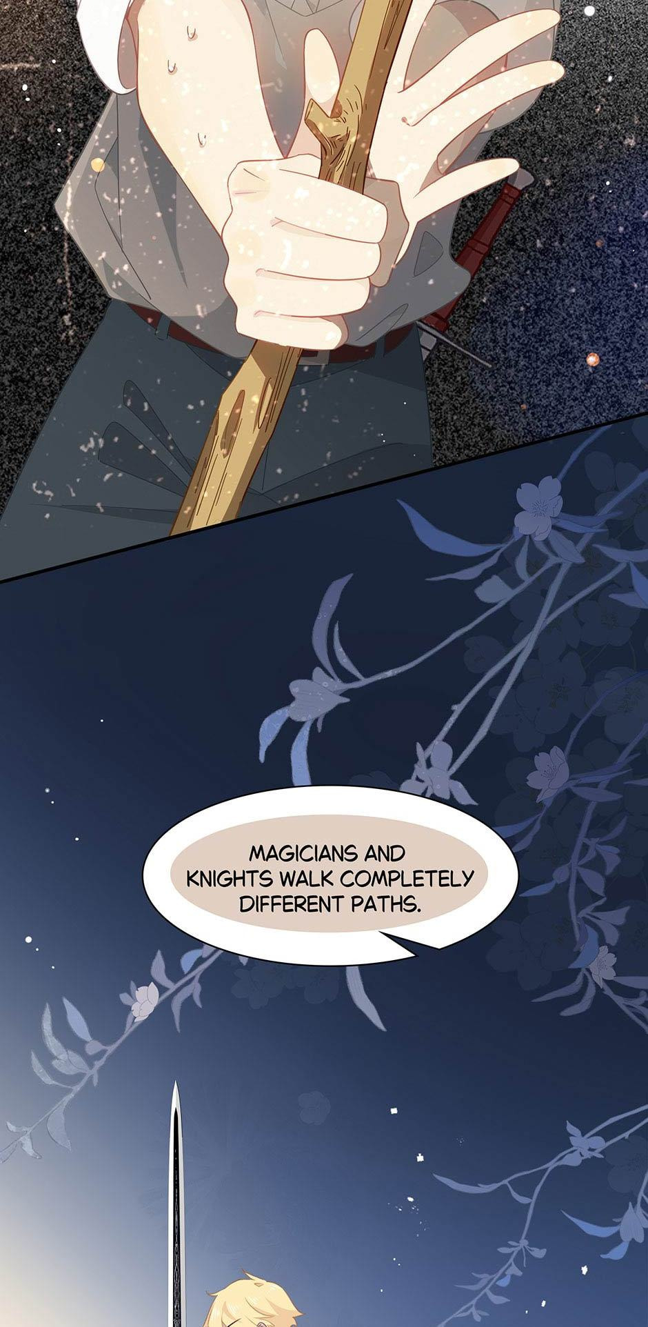 The Paladin's Witchbound Heart Chapter 16 page 14 - 