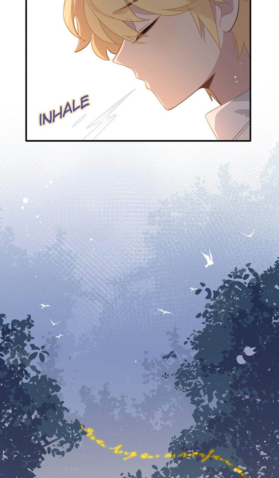 The Paladin's Witchbound Heart Chapter 16 page 5 - 