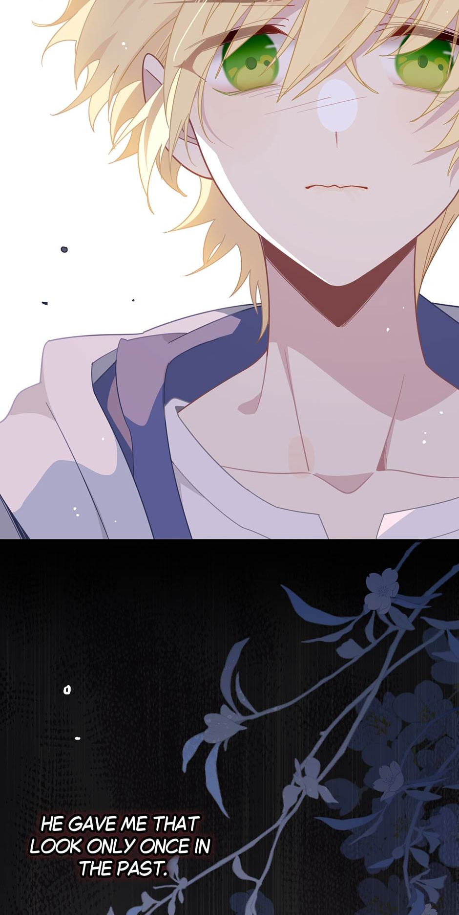 The Paladin's Witchbound Heart Chapter 27 page 22 - 