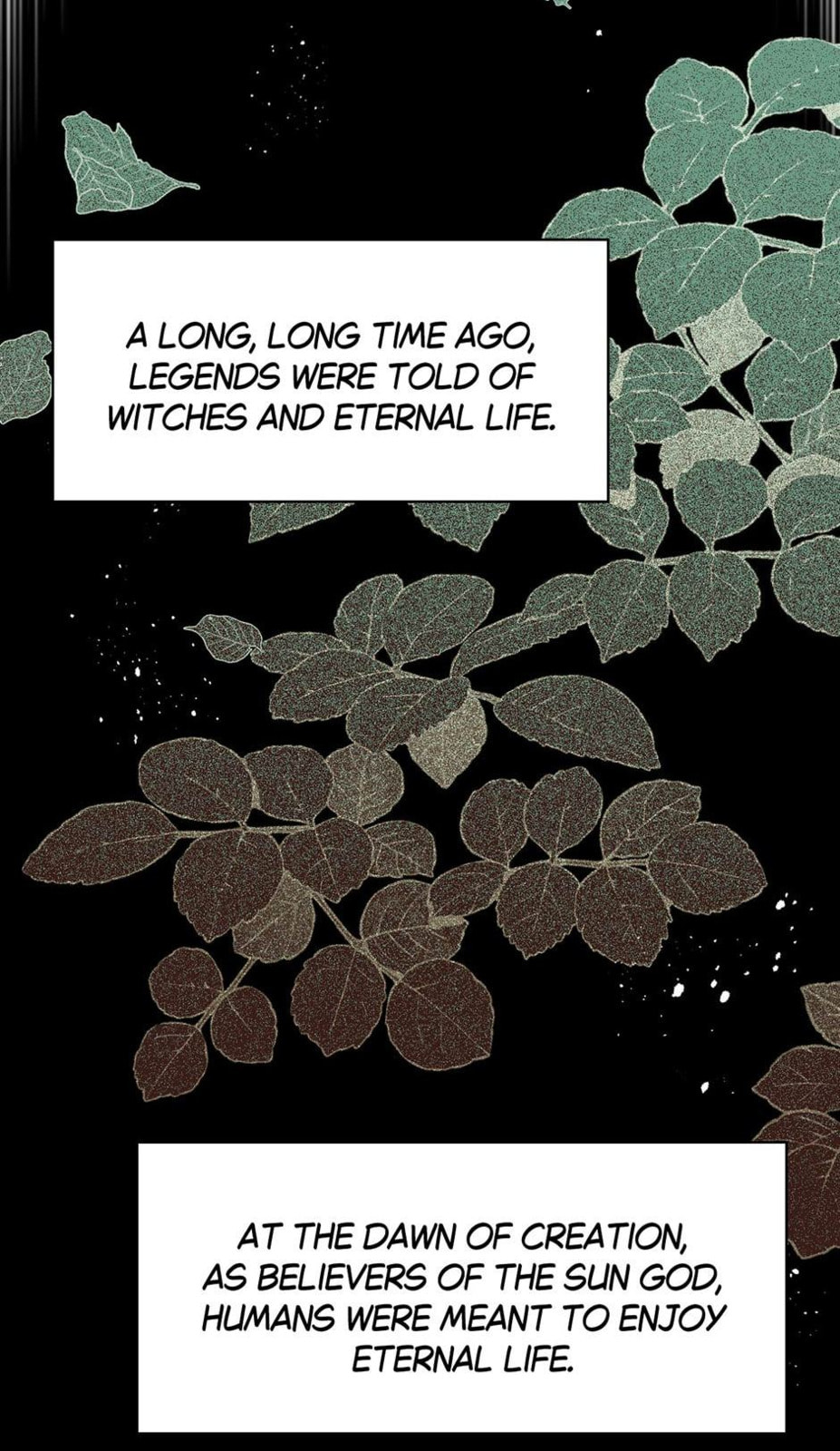 The Paladin's Witchbound Heart Chapter 28 page 8 - 