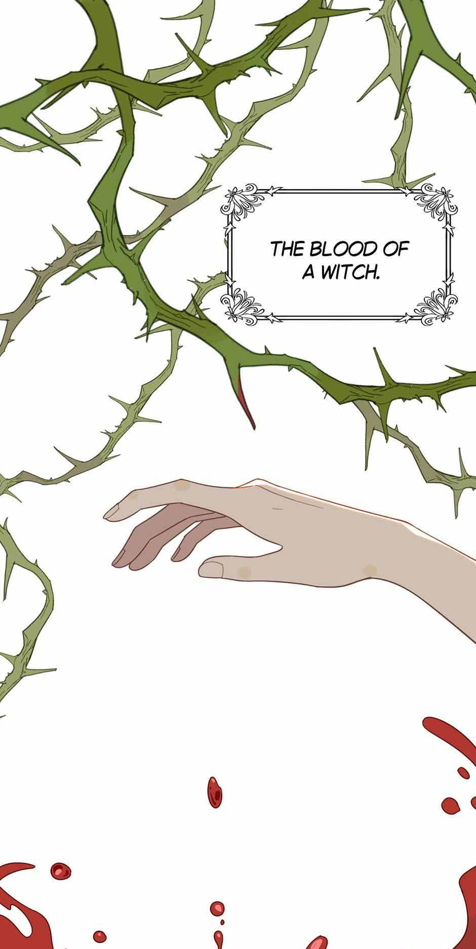 The Paladin's Witchbound Heart Chapter 29 page 3 - 