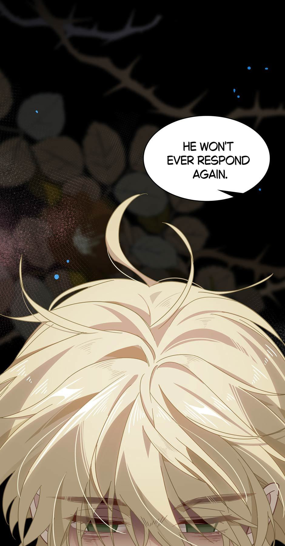 The Paladin's Witchbound Heart Chapter 29 page 46 - 