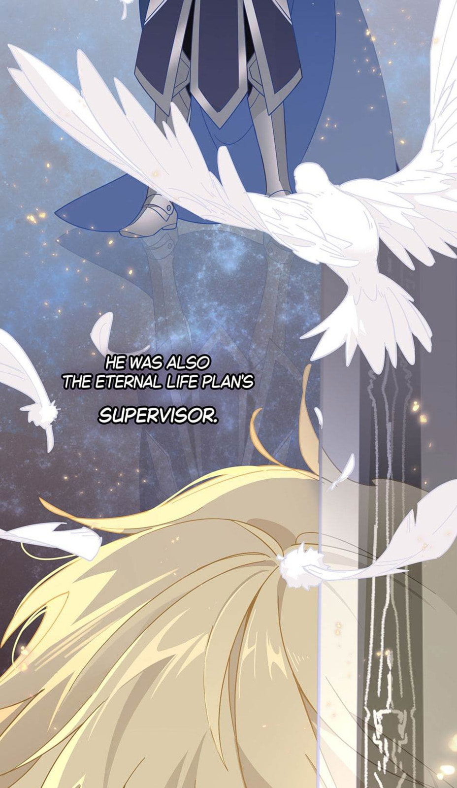 The Paladin's Witchbound Heart Chapter 3 page 30 - 