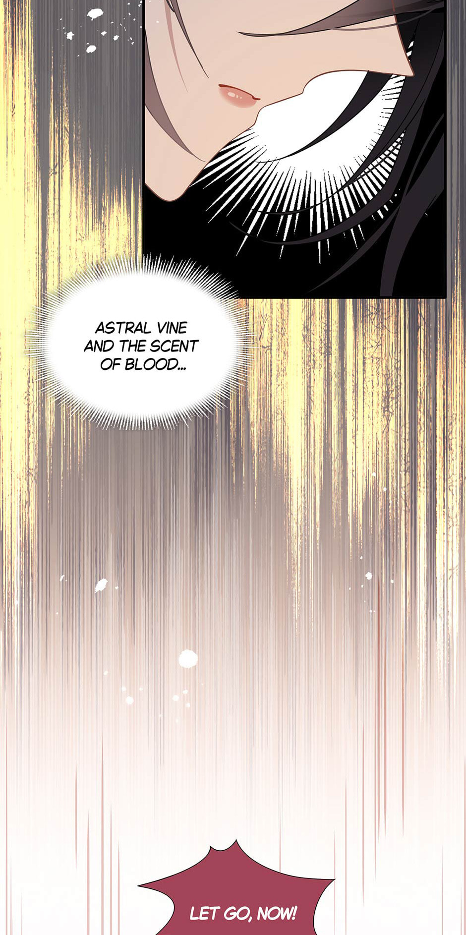 The Paladin's Witchbound Heart Chapter 33 page 36 - 