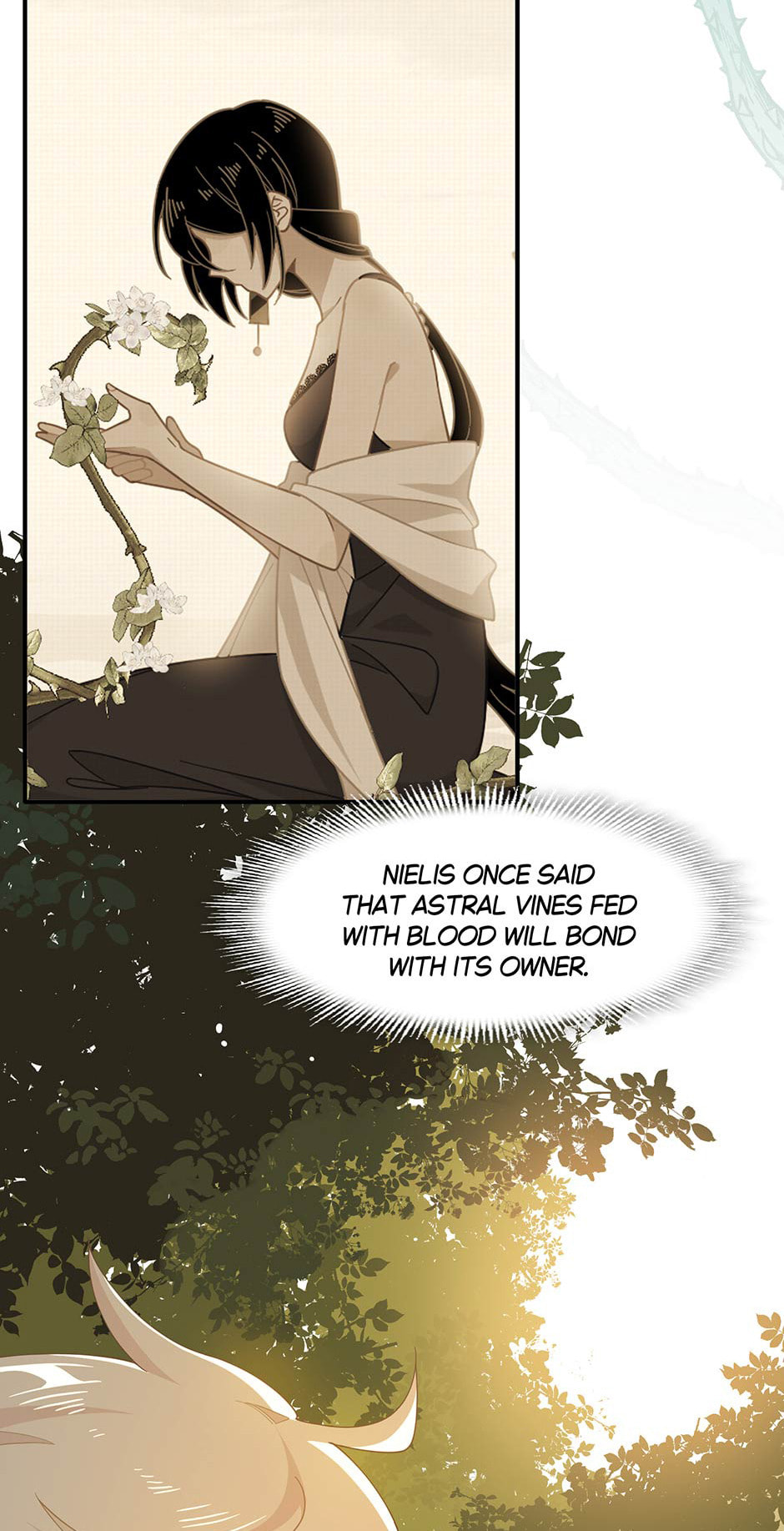 The Paladin's Witchbound Heart Chapter 34 page 34 - 
