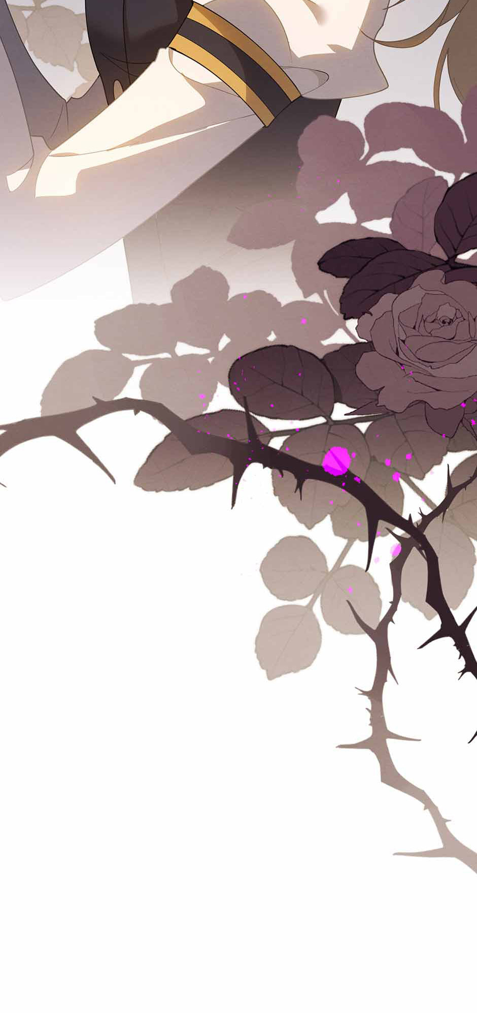 The Paladin's Witchbound Heart Chapter 36 page 27 - 