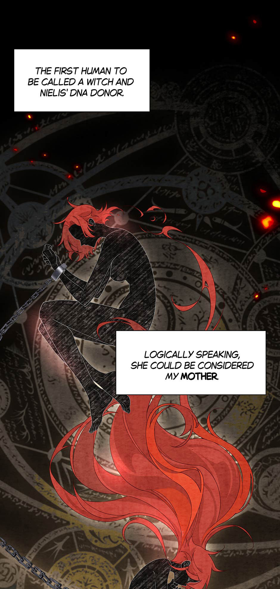 The Paladin's Witchbound Heart Chapter 41 page 10 - 