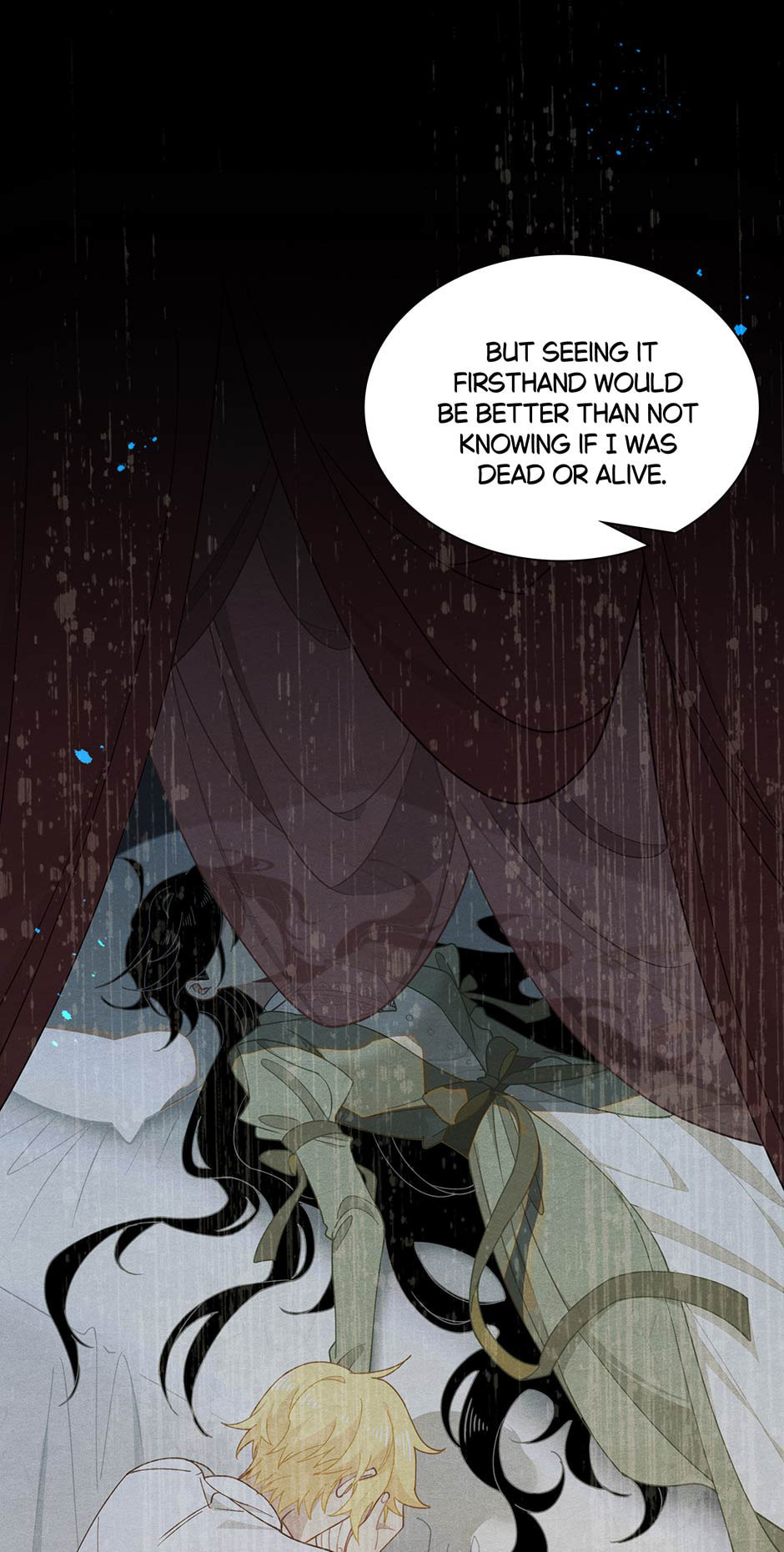 The Paladin's Witchbound Heart Chapter 44 page 14 - 