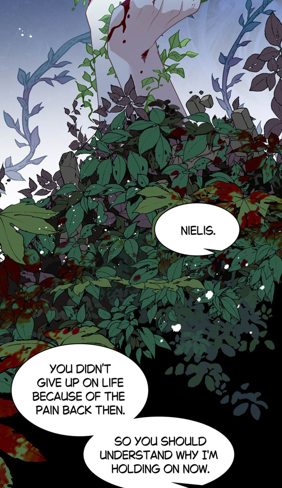 The Paladin's Witchbound Heart Chapter 48 page 17 - 