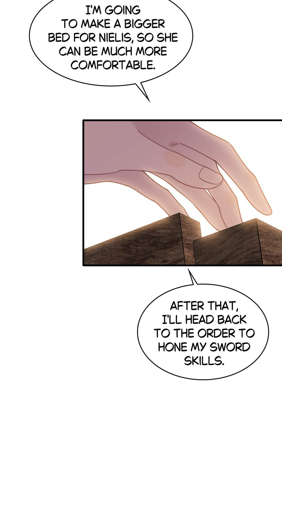 The Paladin's Witchbound Heart Chapter 49 page 17 - 