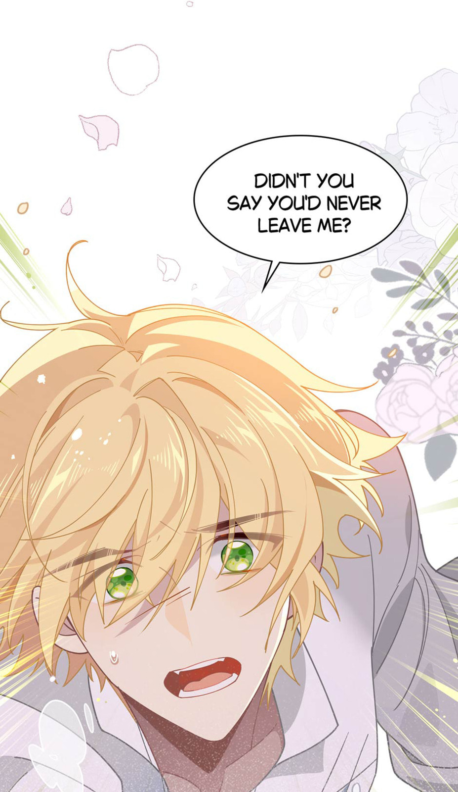 The Paladin's Witchbound Heart Chapter 50 page 45 - 