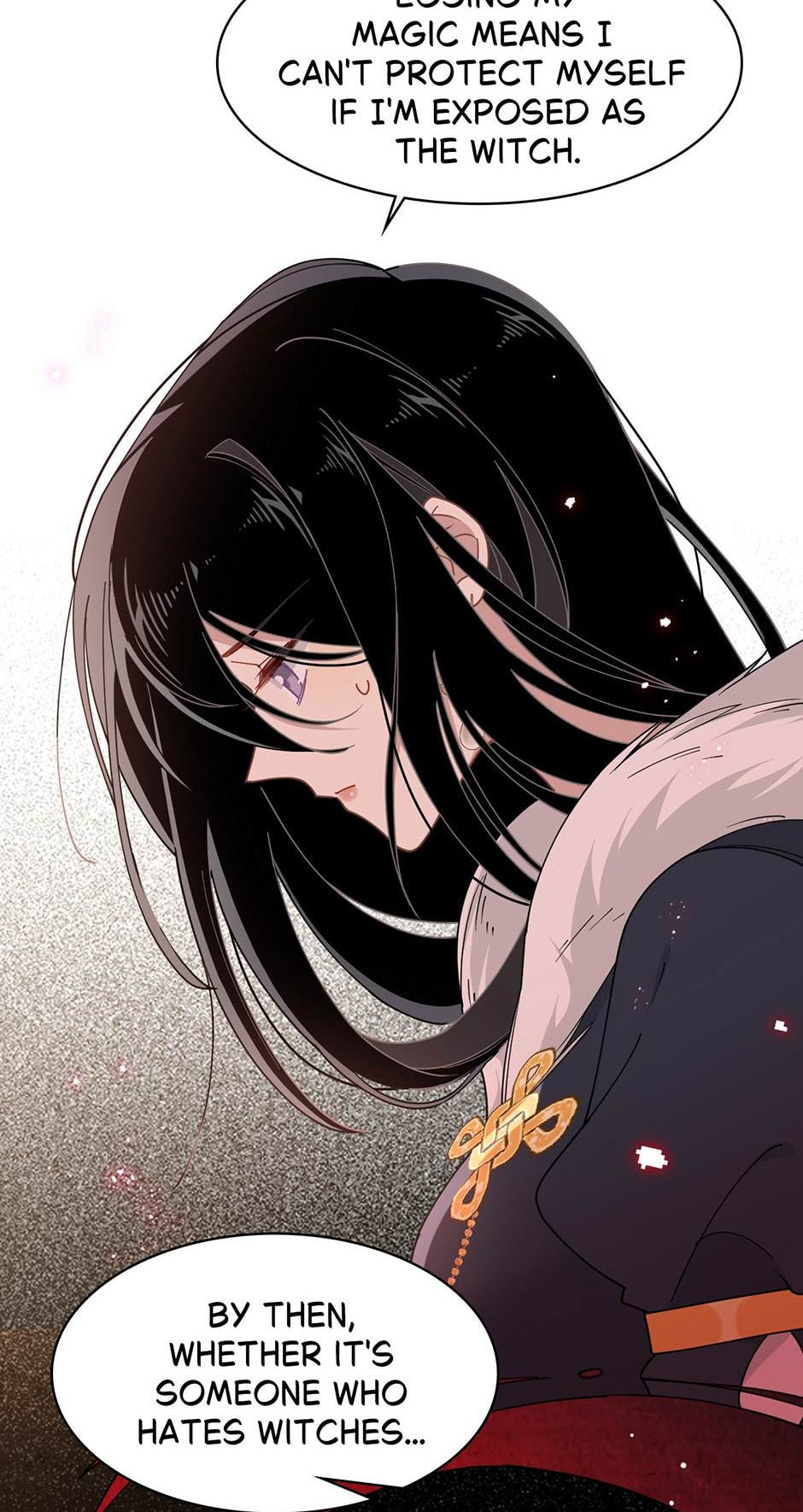 The Paladin's Witchbound Heart Chapter 53 page 13 - 