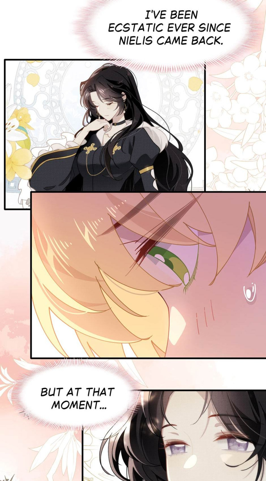The Paladin's Witchbound Heart Chapter 54 page 17 - 
