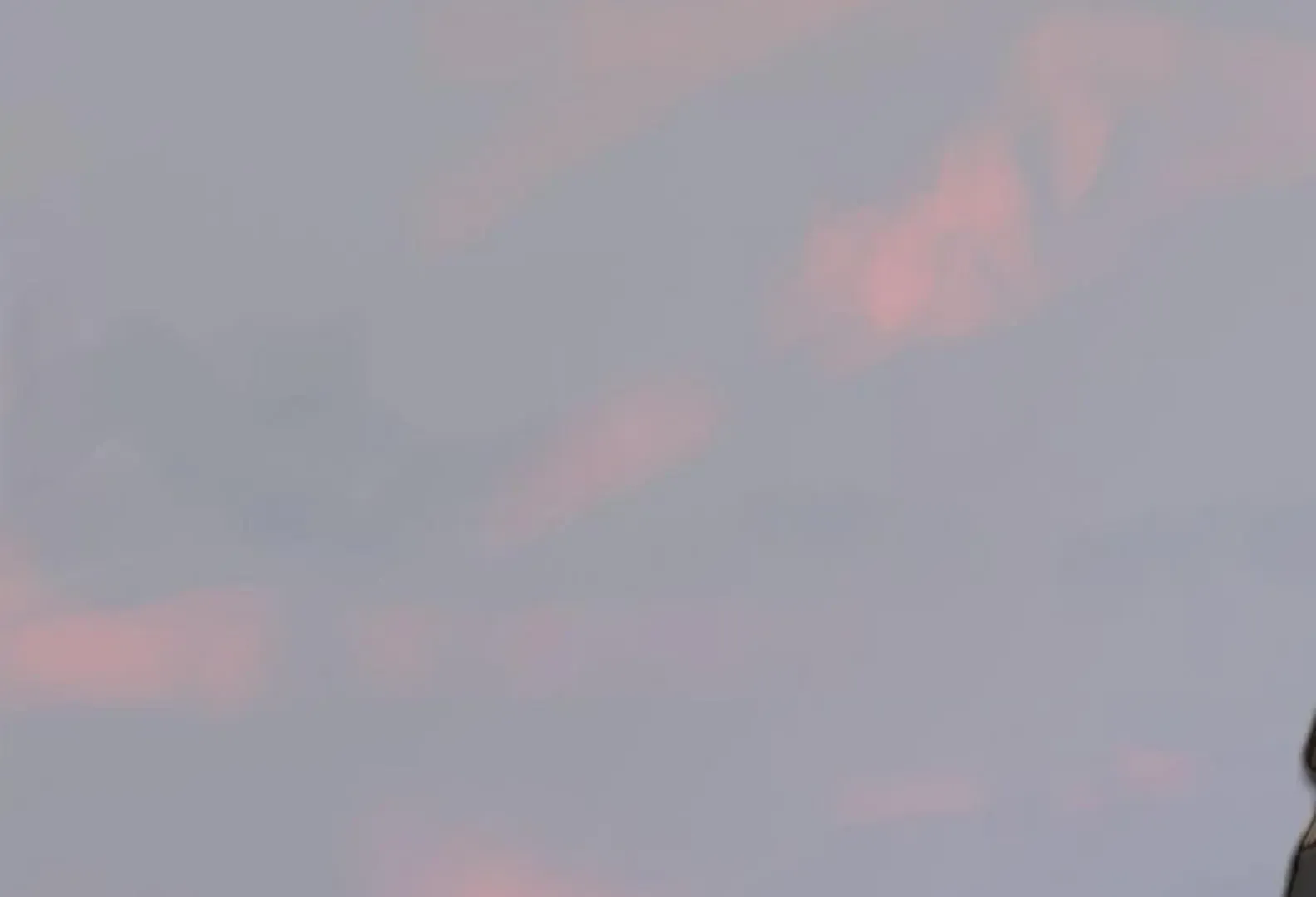 Read The Pale Horse chapter 284 image 2 on Lezhin