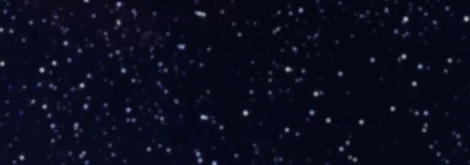 Read The Pale Horse chapter 284 image 237 on Lezhin