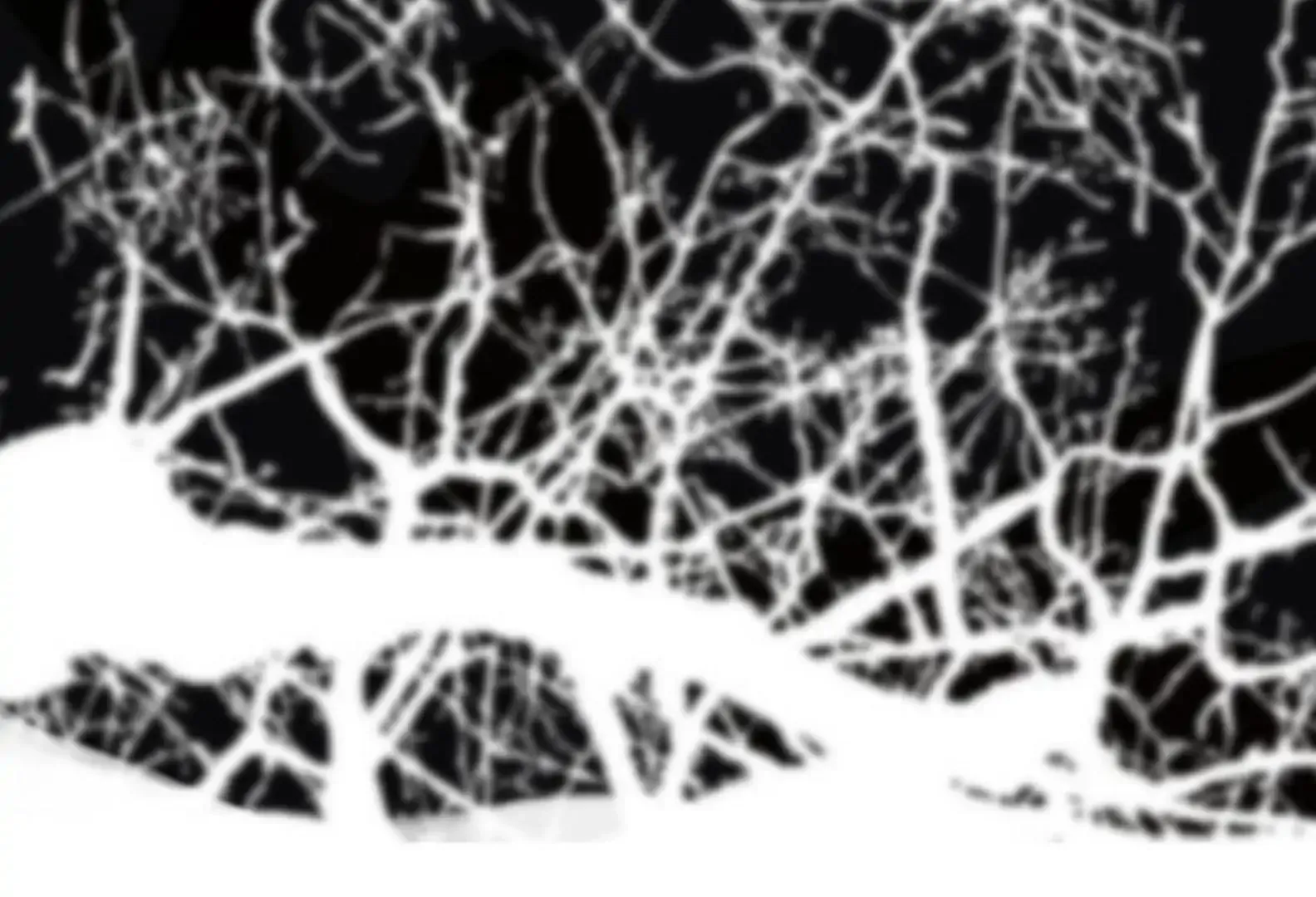 Read The Pale Horse chapter 284 image 41 on Lezhin