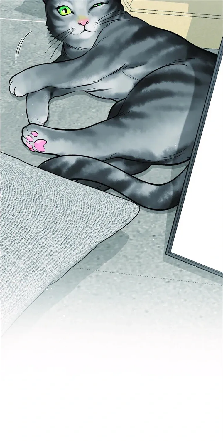 The Path Of Star Chapter 42 page 60 - 