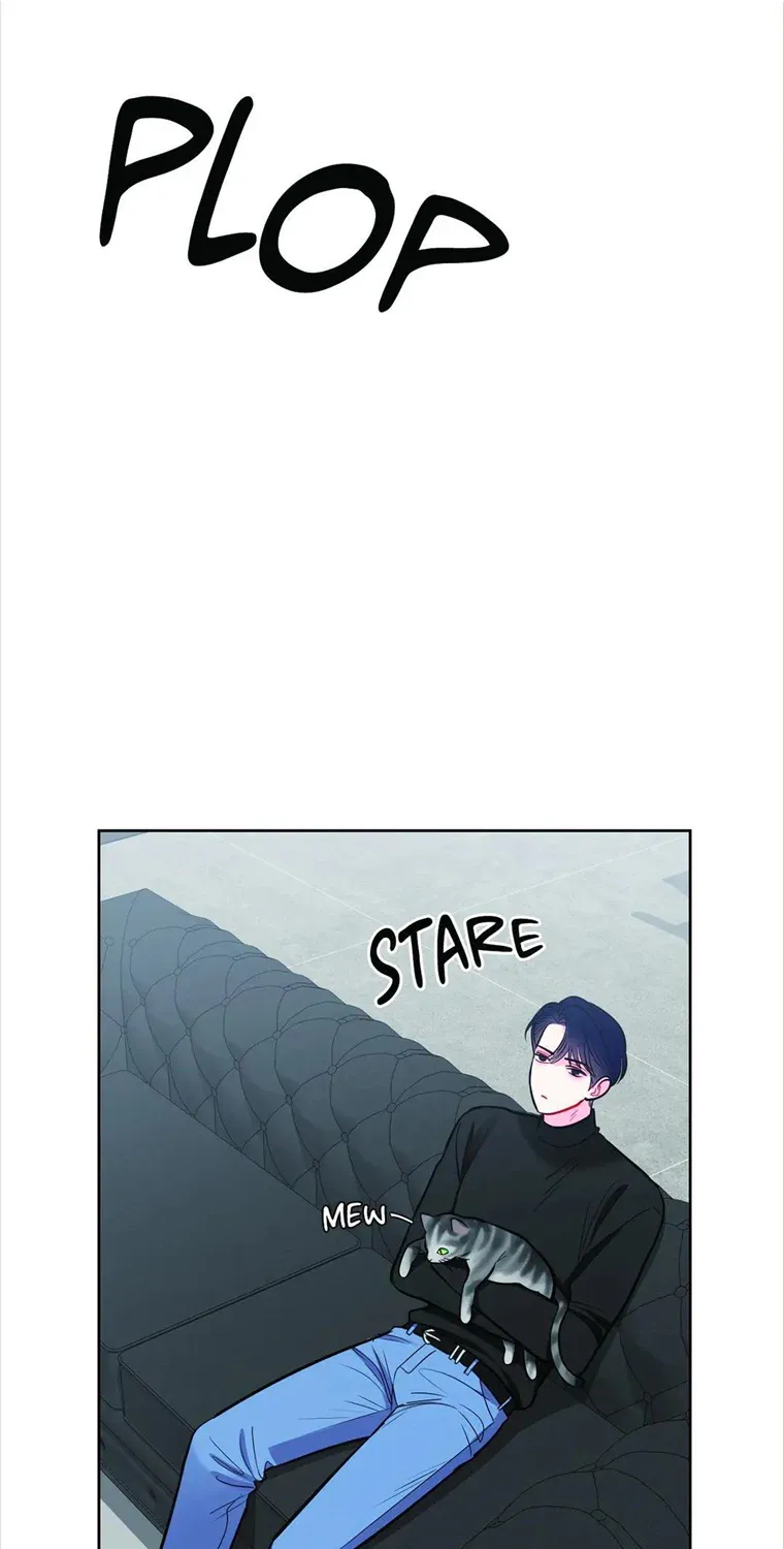 The Path Of Star Chapter 42 page 64 - 