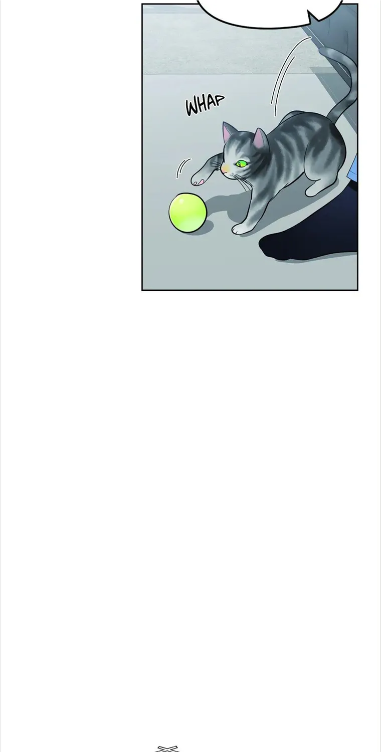 The Path Of Star Chapter 42 page 72 - 