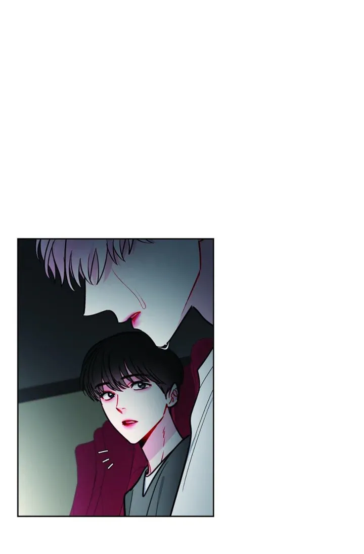 The Path Of Star Chapter 48 page 5 - 