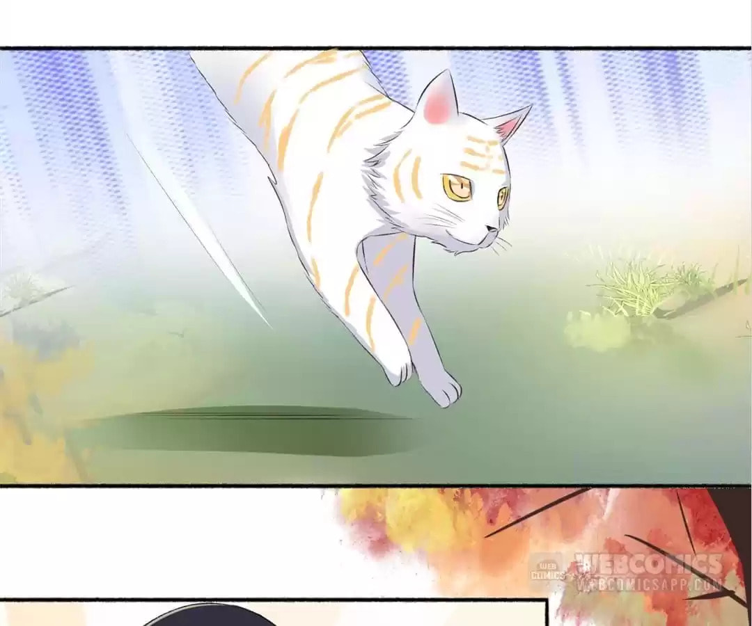 Read The Peerless Concubine (Colored) chapter 73 image 1 on Lezhin