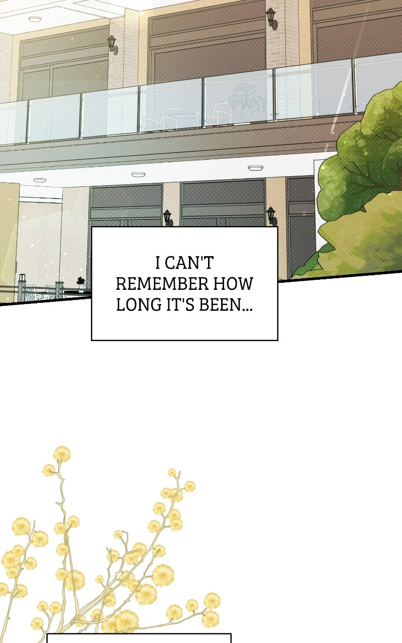 Read The Perfect Contract chapter 75 image 1 on Lezhin