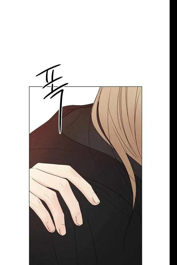 The Perfect Male Lead Chapter 21 page 96 - 