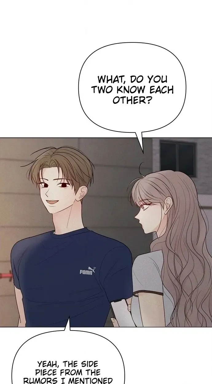 The Perfect Male Lead Chapter 59 page 30 - 