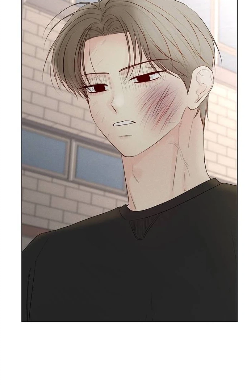 The Perfect Male Lead Chapter 62 page 22 - 