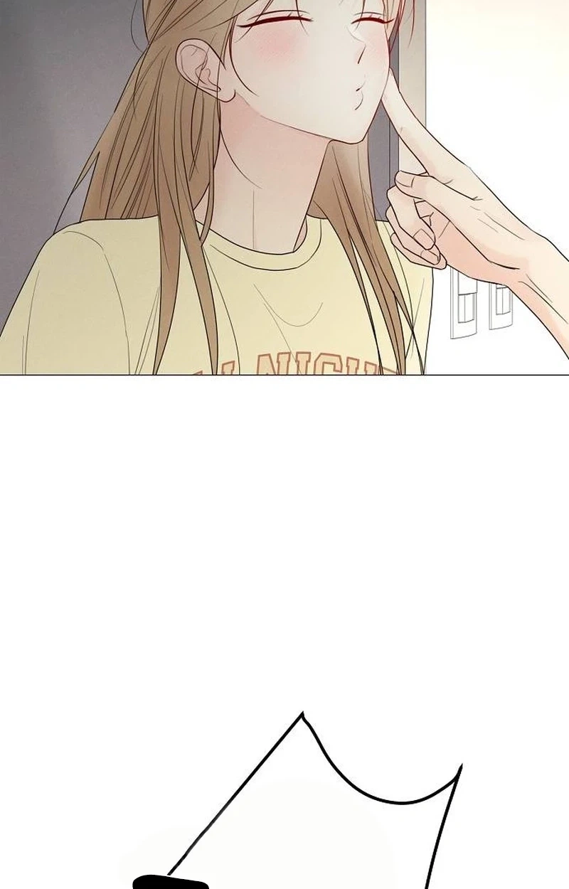 The Perfect Male Lead Chapter 62 page 81 - 
