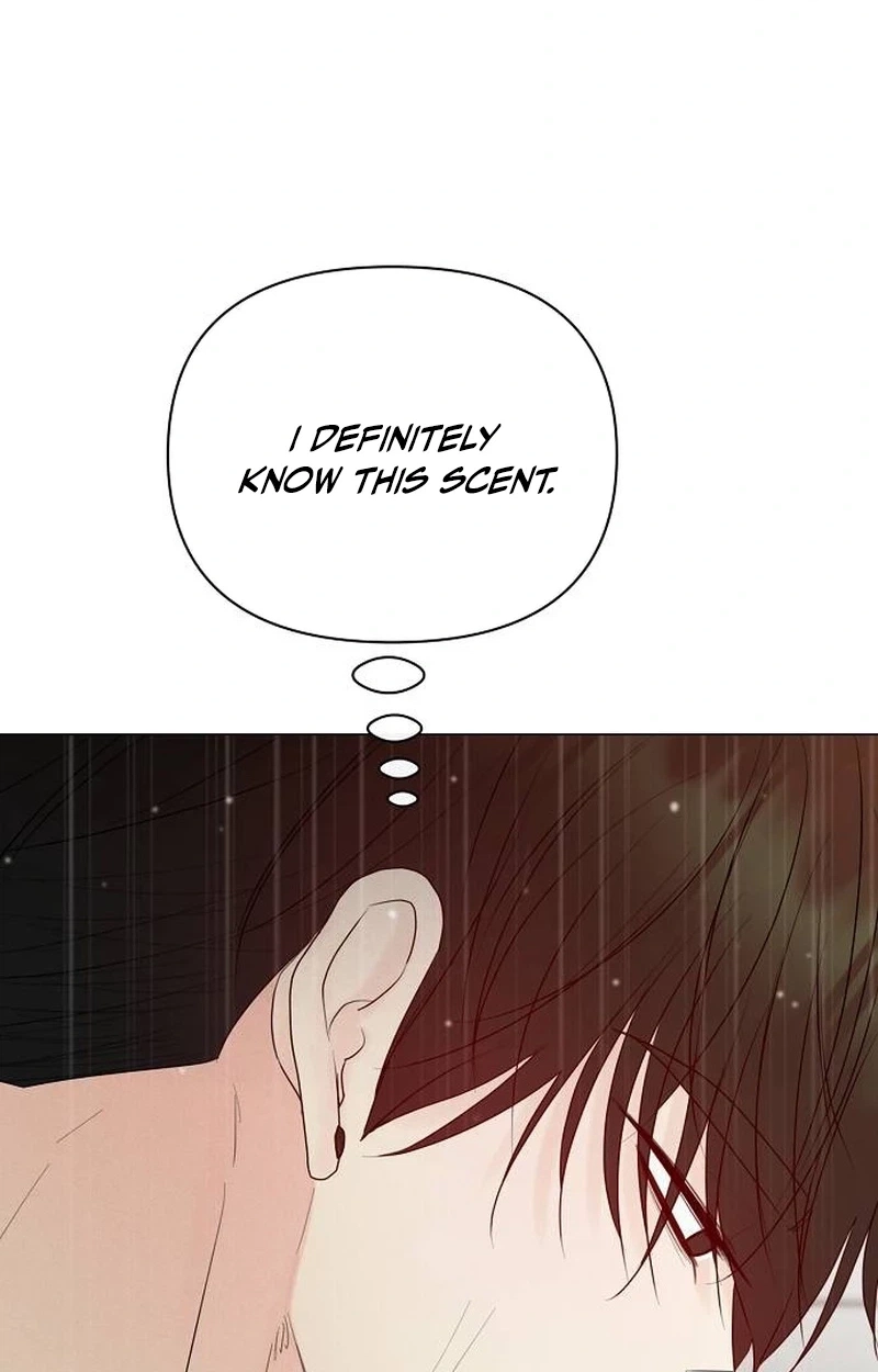 The Perfect Male Lead Chapter 65 page 135 - 