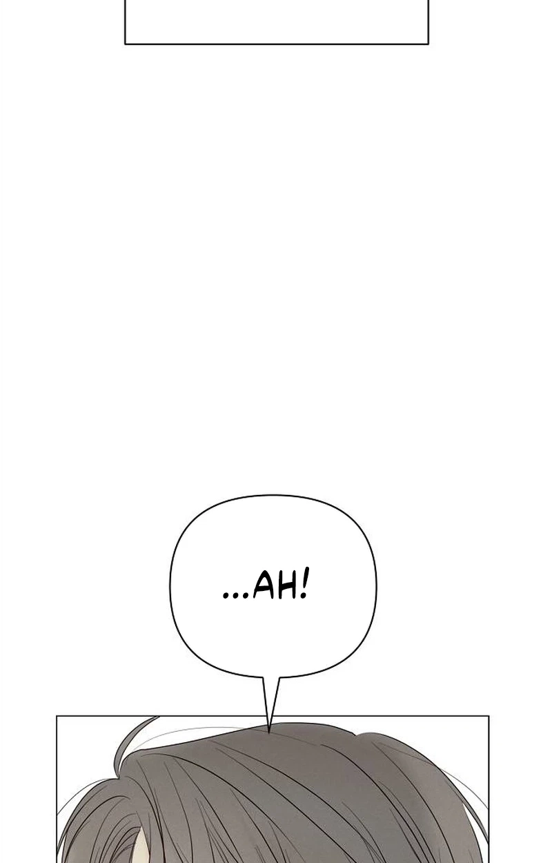 The Perfect Male Lead Chapter 65 page 43 - 