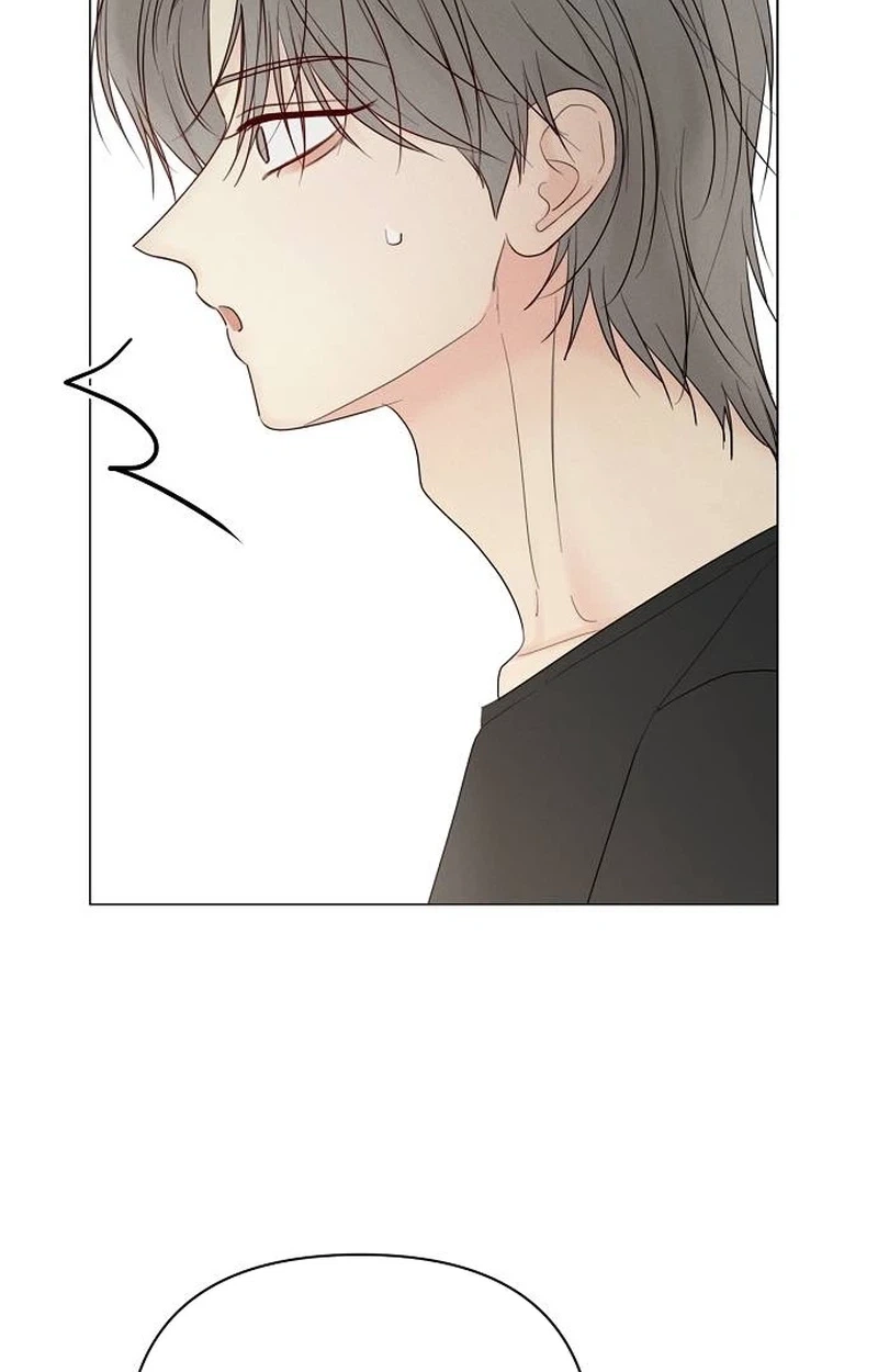 The Perfect Male Lead Chapter 65 page 44 - 