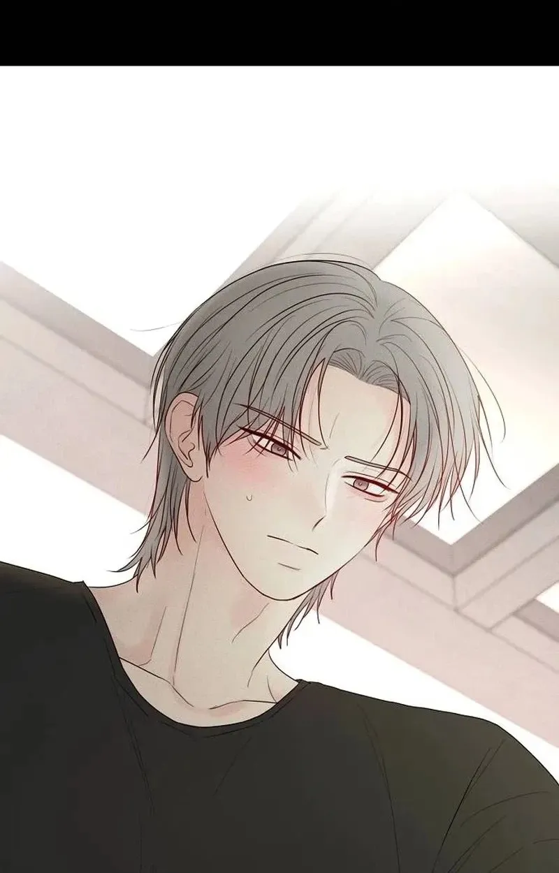 The Perfect Male Lead Chapter 65 page 80 - 