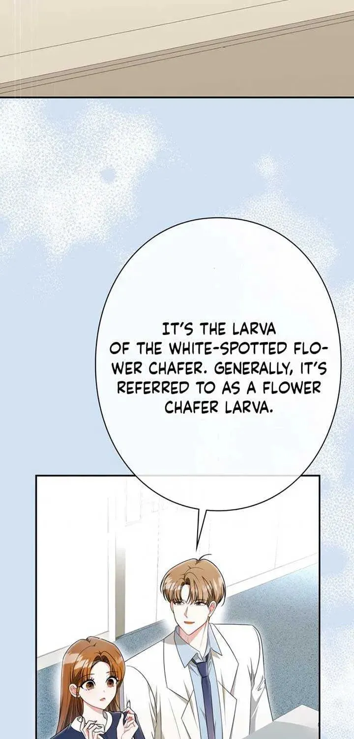 The Perfect Man's Secret Chapter 16 page 6 - 