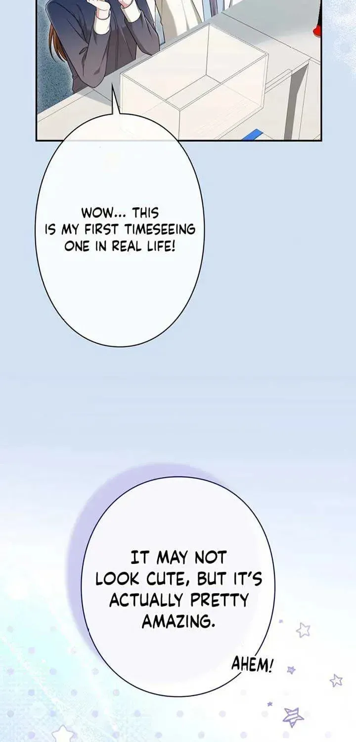 The Perfect Man's Secret Chapter 16 page 7 - 