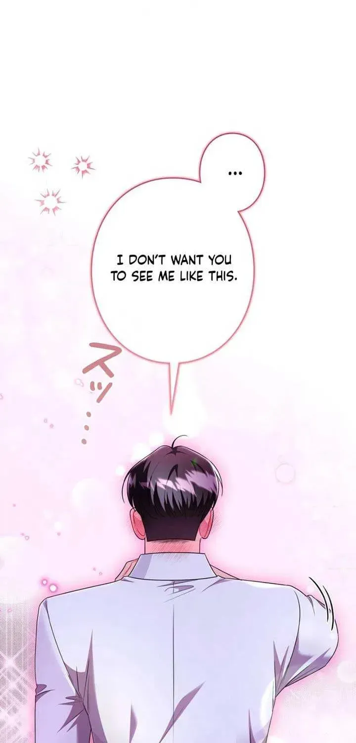 The Perfect Man's Secret Chapter 17 page 11 - 
