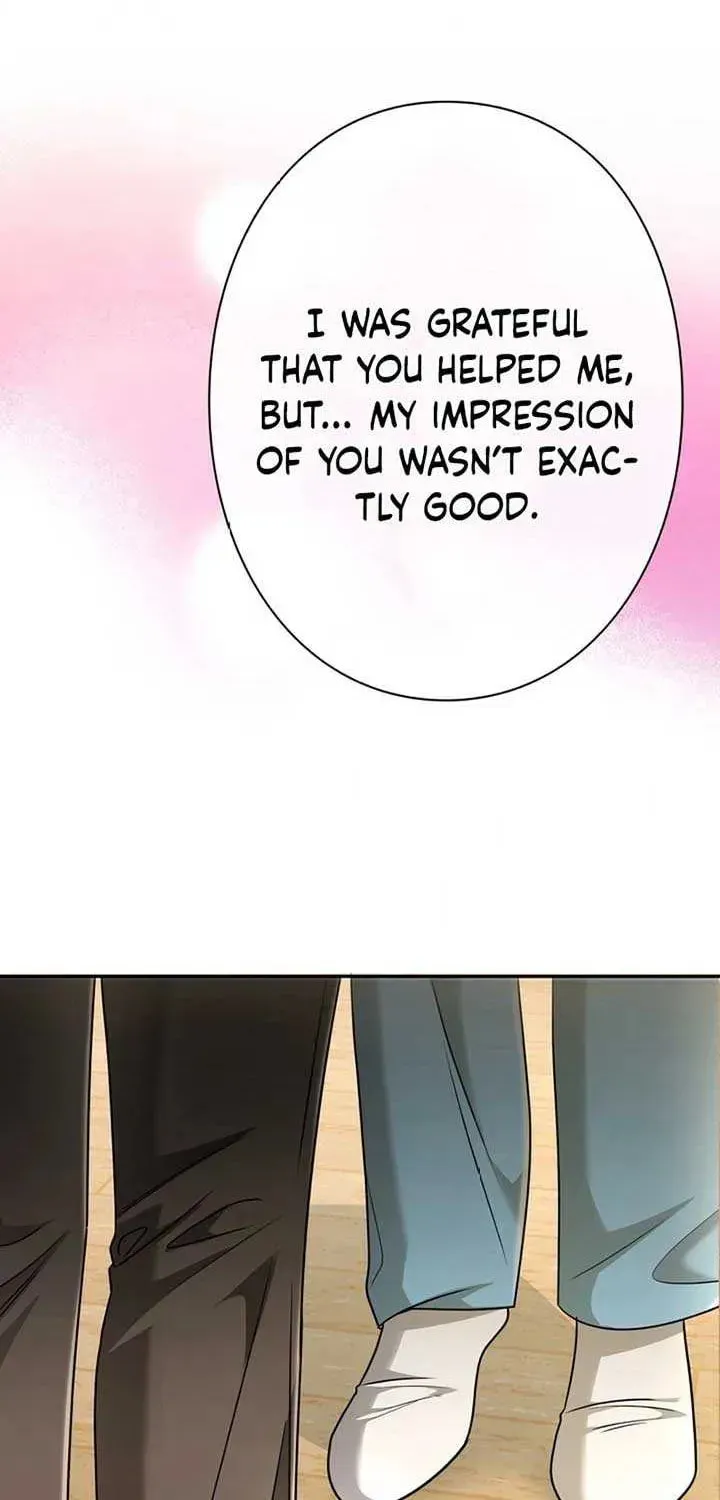 The Perfect Man's Secret Chapter 19 page 5 - 