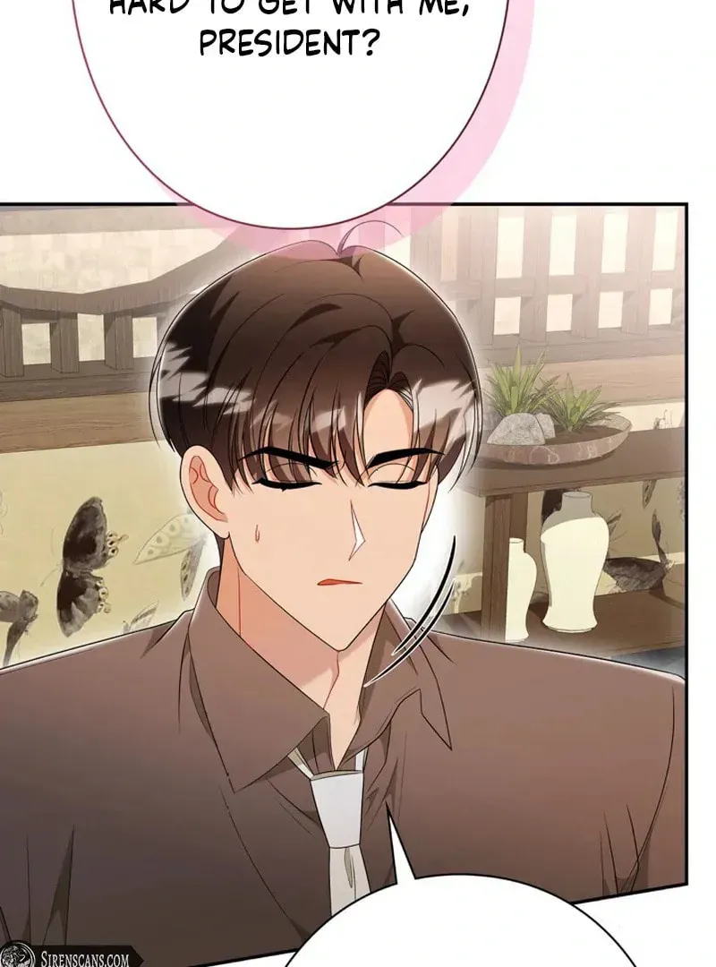 The Perfect Man's Secret Chapter 20 page 28 - 