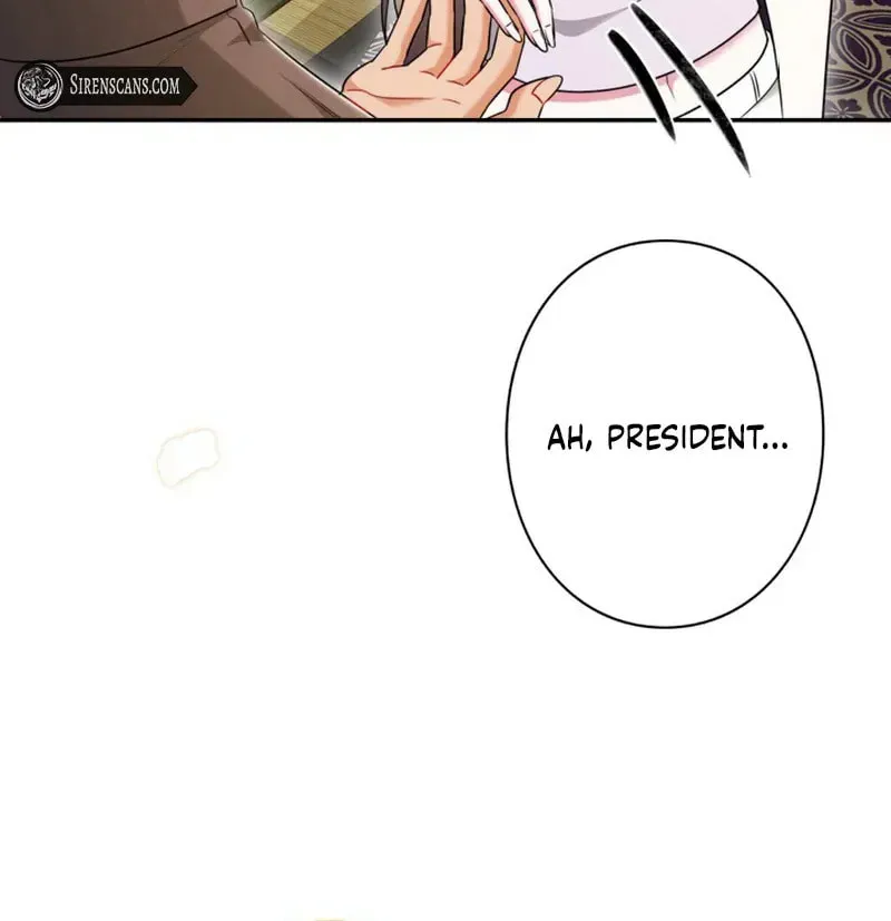 The Perfect Man's Secret Chapter 20 page 81 - 