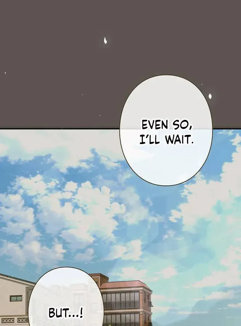 The Perfect Man's Secret Chapter 22 page 87 - 