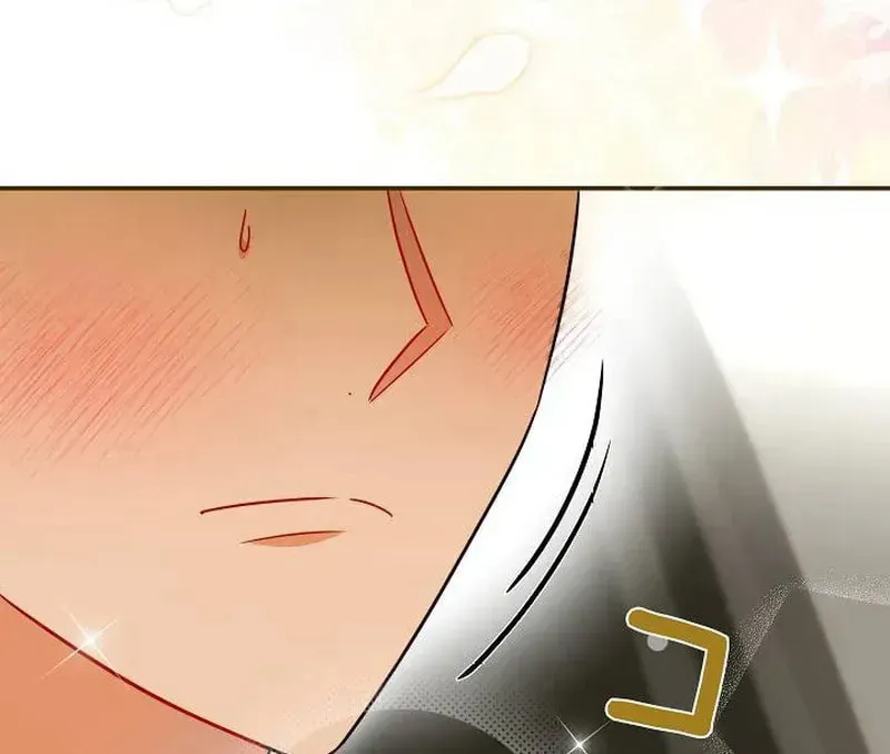The Perfect Man's Secret Chapter 23 page 29 - 