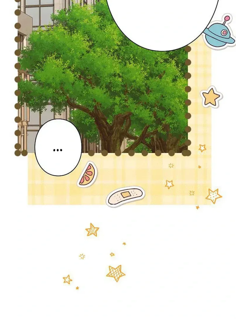 The Perfect Man's Secret Chapter 26 page 63 - 