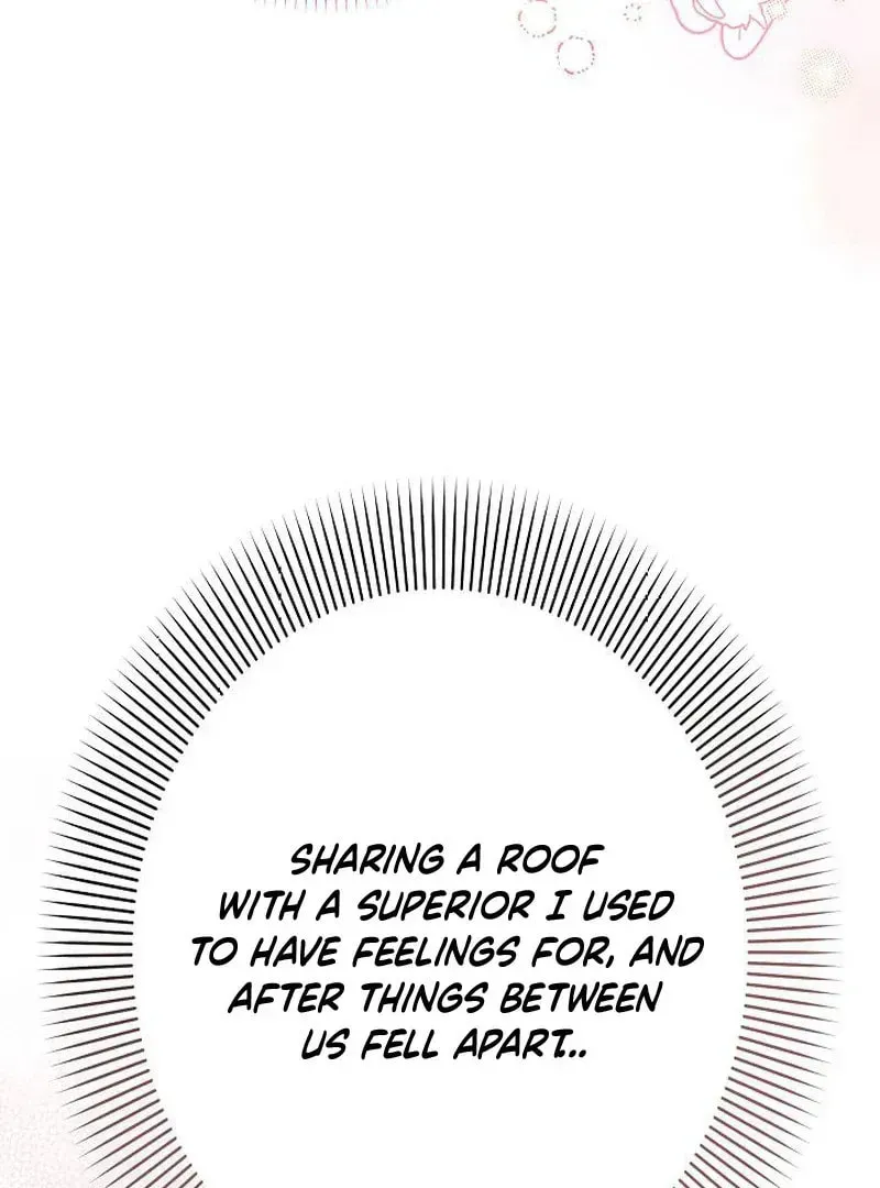 The Perfect Man's Secret Chapter 27 page 32 - 