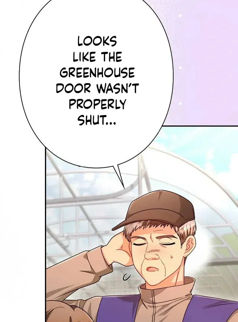 The Perfect Man's Secret Chapter 29 page 37 - 
